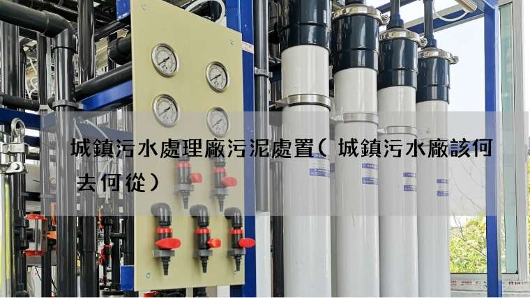 城鎮污水處理廠污泥處置(城鎮污水廠該何去何從)